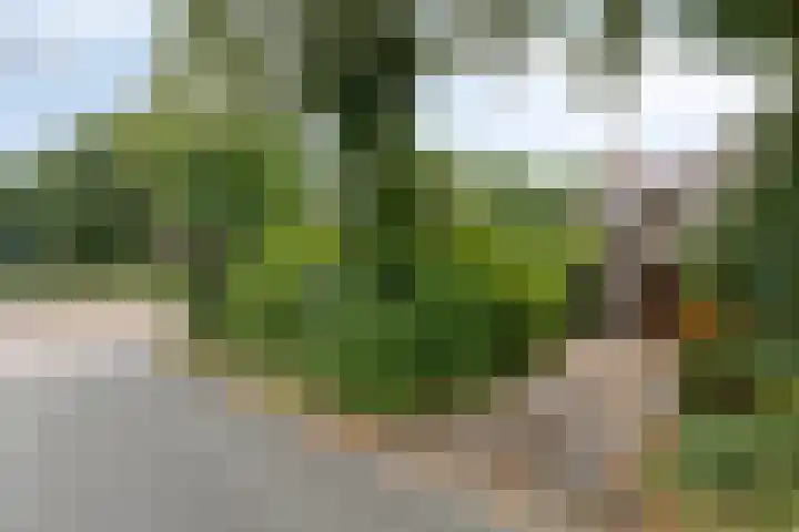 Zuidenveld 2 Roden thumbnail 49
