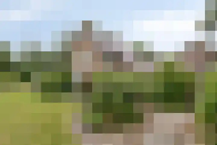 Zuidenveld 2 Roden thumbnail 5