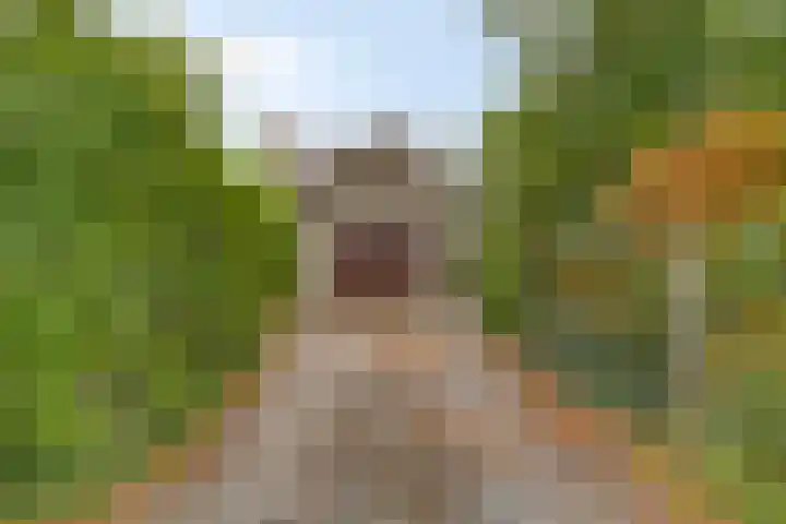 Zuidenveld 2 Roden thumbnail 50