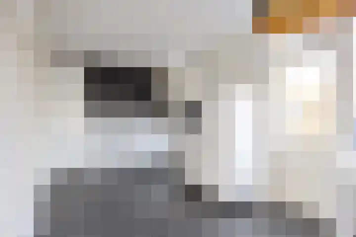 Zuidenveld 36 Assen thumbnail 13