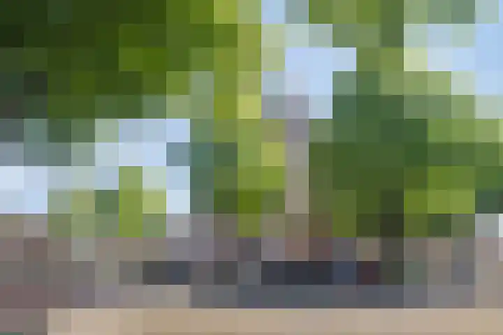 Zuidenveld 36 Assen thumbnail 16