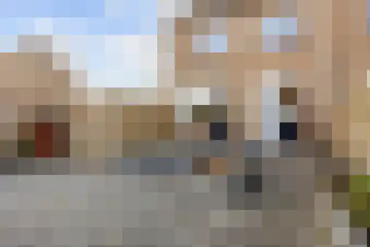 Zuidenveld 36 Assen thumbnail 33