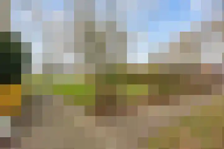 Zuidenveld 36 Assen thumbnail 40