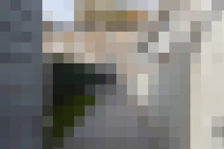 Zuidenveld 72 Assen thumbnail 33