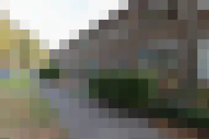 Zuidenveld 72 Assen thumbnail 37