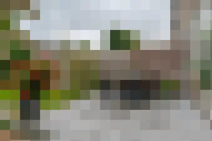 Zuidenveld 80 Assen thumbnail 33