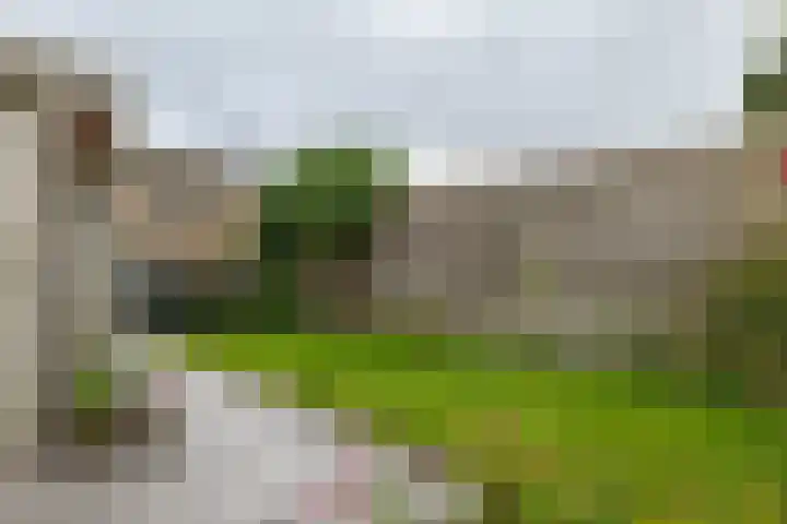 Zuidenveld 80 Assen thumbnail 35