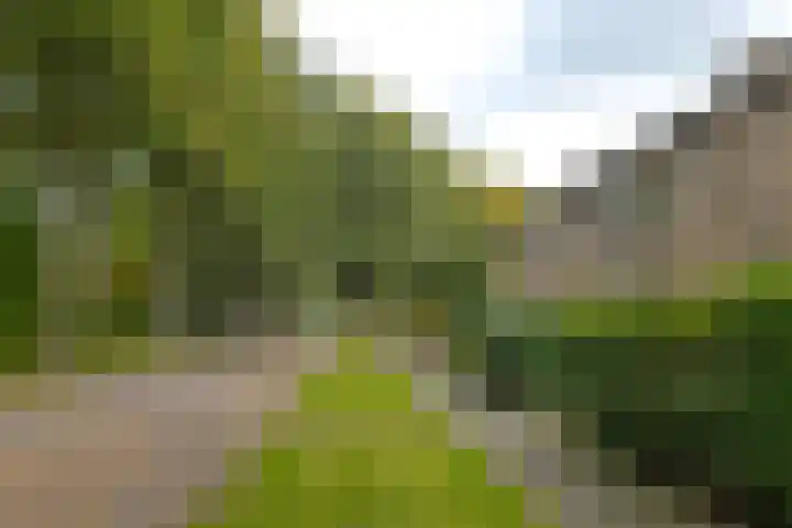 Zuidenveld 80 Assen thumbnail 5