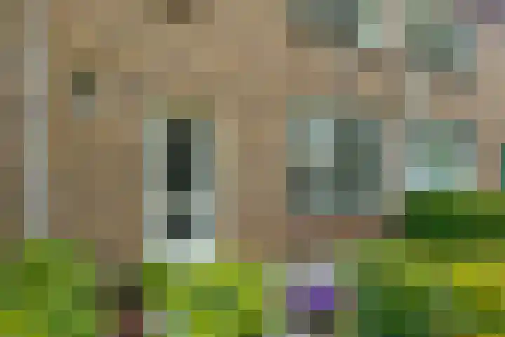 Zuidenveld 80 Assen thumbnail 7