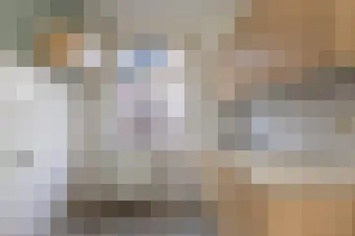 Zuidenweg 10 Dwingeloo thumbnail 8