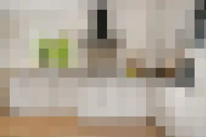 Zuidenweg 5 Dwingeloo thumbnail 10