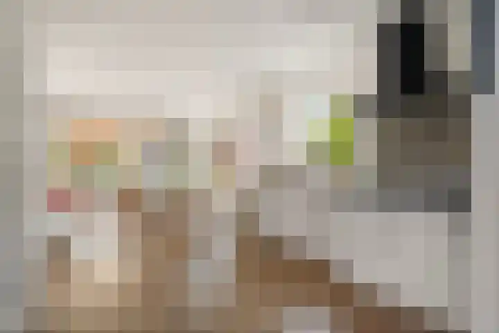 Zuidenweg 5 Dwingeloo thumbnail 11