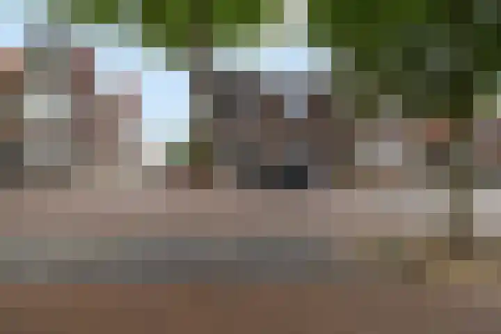 Zuidenweg 5 Dwingeloo thumbnail 12