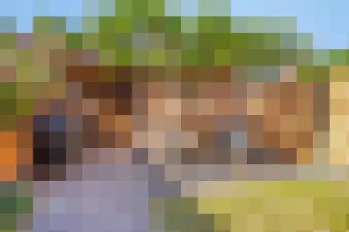 Zuidenweg 5 Dwingeloo thumbnail 16