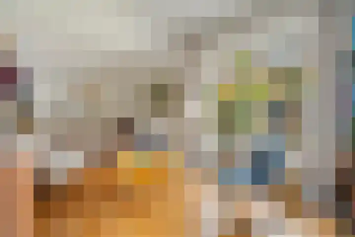 Zuidenweg 5 Dwingeloo thumbnail 17