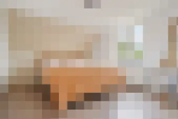Zuidenweg 5 Dwingeloo thumbnail 21