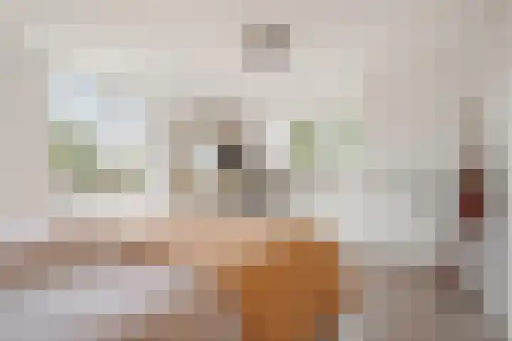 Zuidenweg 5 Dwingeloo thumbnail 22