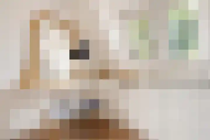 Zuidenweg 5 Dwingeloo thumbnail 23