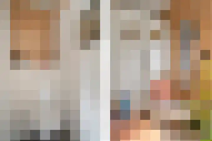 Zuidenweg 5 Dwingeloo thumbnail 28