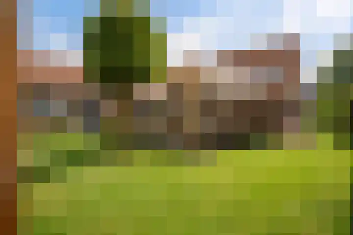 Zuidenweg 5 Dwingeloo thumbnail 29