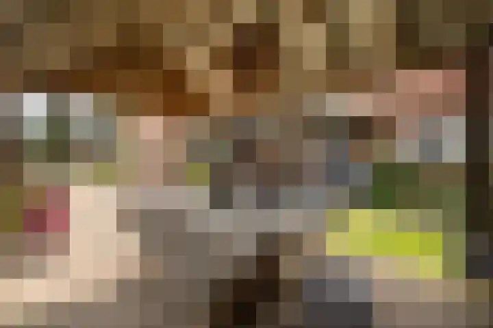 Zuidenweg 5 Dwingeloo thumbnail 30