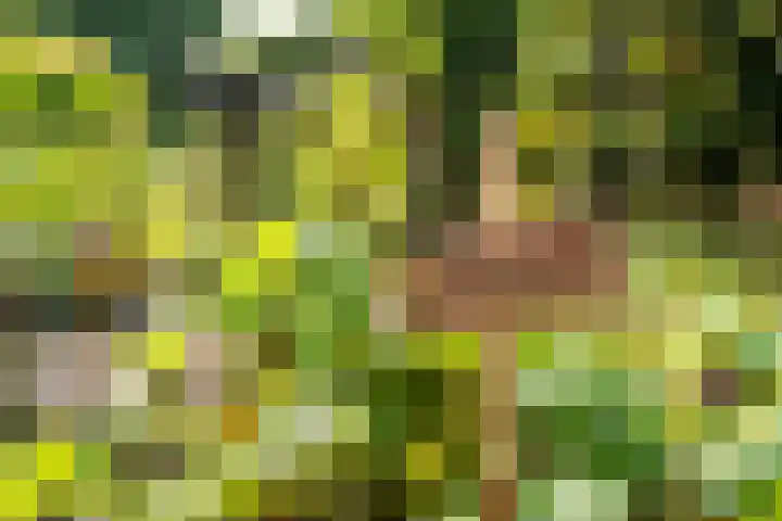 Zuidenweg 5 Dwingeloo thumbnail 33