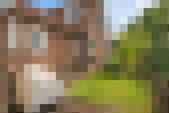 Zuidenweg 5 Dwingeloo thumbnail 34