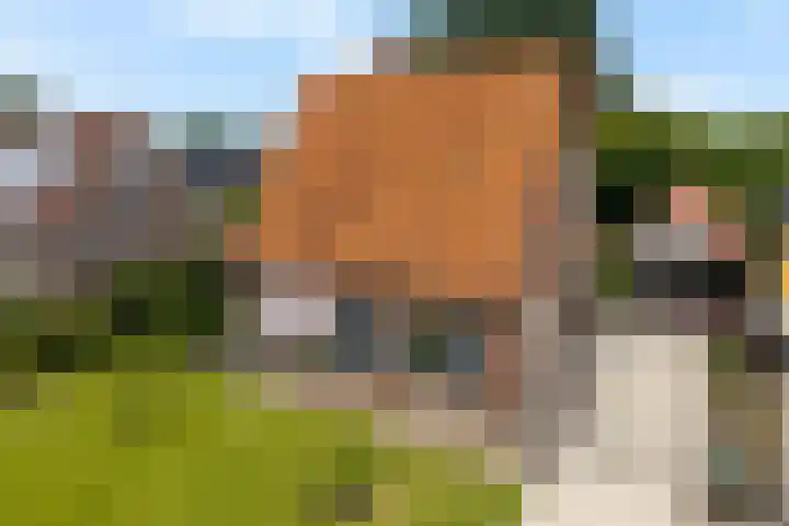 Zuidenweg 5 Dwingeloo thumbnail 35