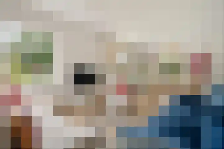 Zuidenweg 5 Dwingeloo thumbnail 4