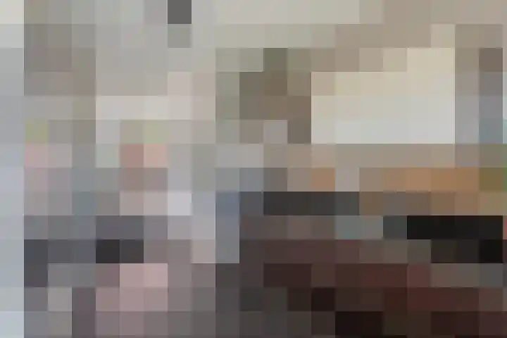 Zuidenweg 5 Dwingeloo thumbnail 6