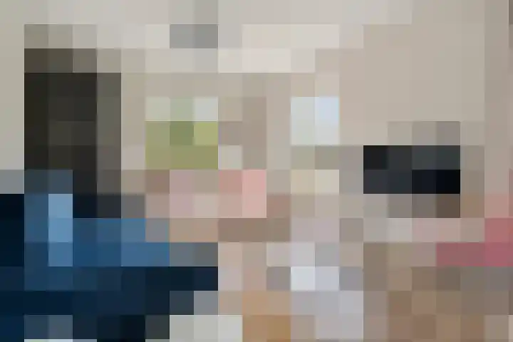 Zuidenweg 5 Dwingeloo thumbnail 6