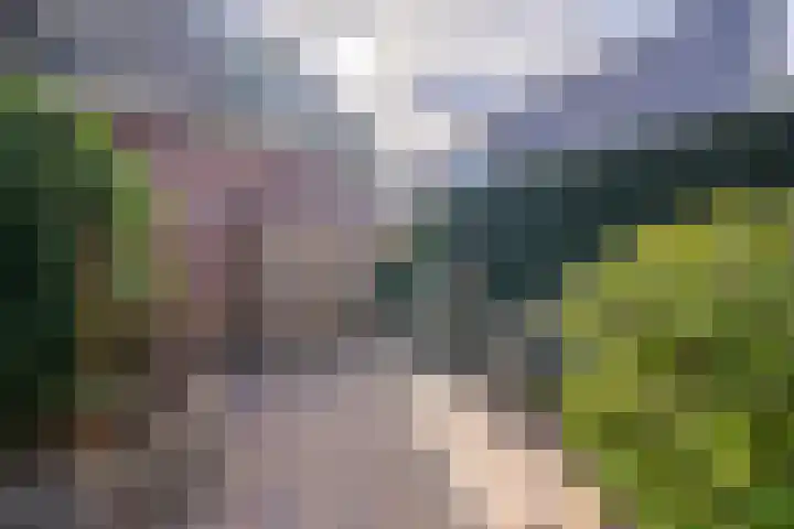 Zuidenweg 5 Dwingeloo thumbnail 7