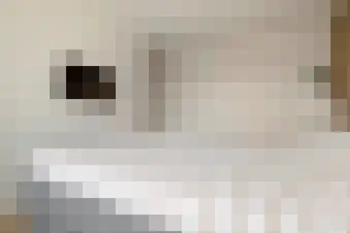 Zuidenweg 5 Dwingeloo thumbnail 8