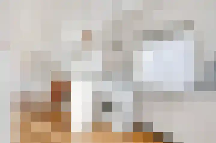 Zuider Parallelweg 40 Velp thumbnail 12