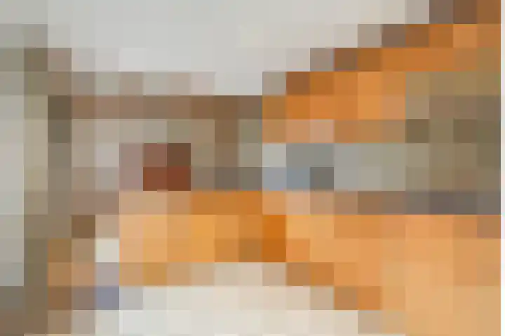 Zuider Parallelweg 40 Velp thumbnail 16