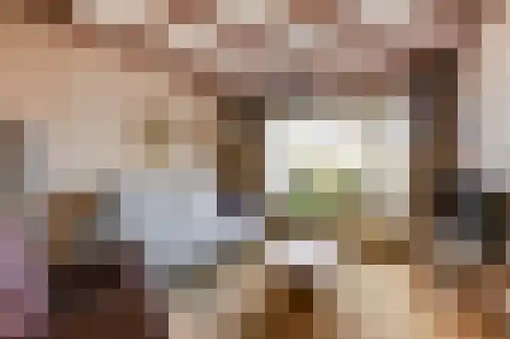 Zuider Parallelweg 40 Velp thumbnail 18