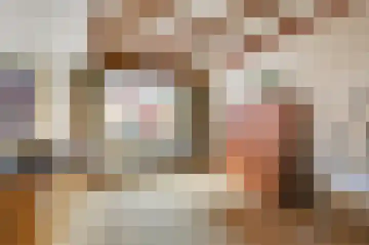 Zuider Parallelweg 40 Velp thumbnail 20