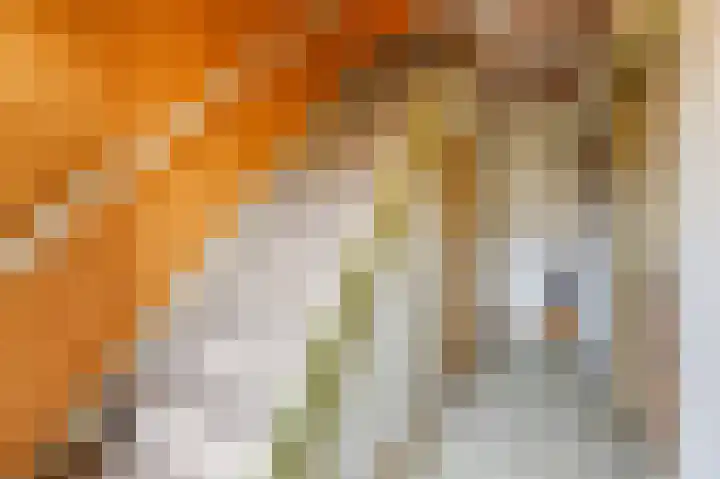 Zuider Parallelweg 40 Velp thumbnail 22