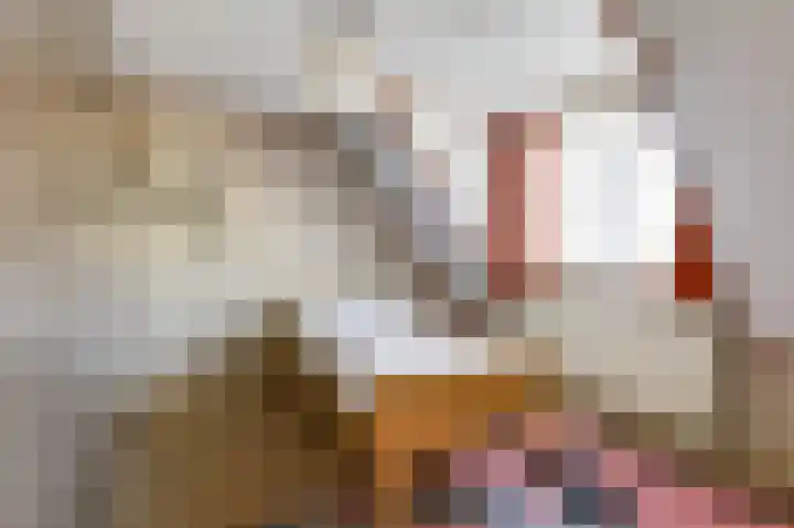 Zuider Parallelweg 40 Velp thumbnail 25