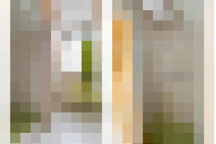 Zuider Parallelweg 40 Velp thumbnail 26