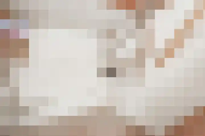 Zuider Parallelweg 40 Velp thumbnail 36