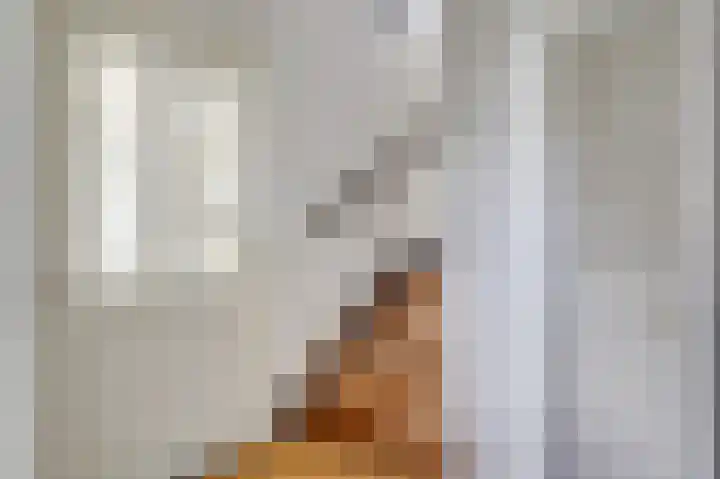 Zuider Parallelweg 40 Velp thumbnail 6