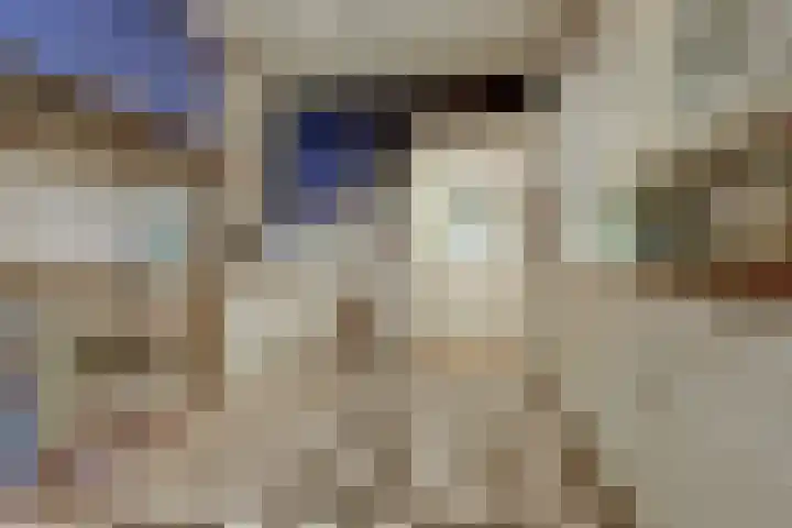 Zuider Parallelweg 5 Velp thumbnail 13