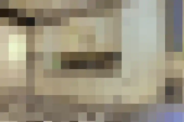 Zuider Parallelweg 5 Velp thumbnail 15