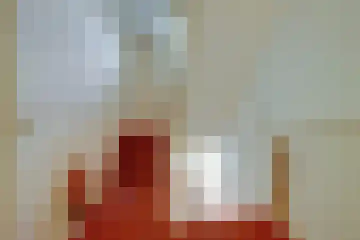 Zuider Parallelweg 5 Velp thumbnail 21