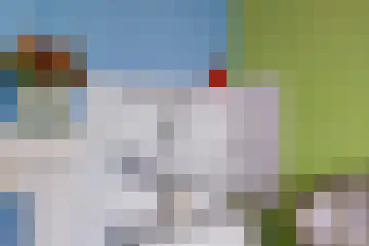 Zuider Parallelweg 5 Velp thumbnail 32