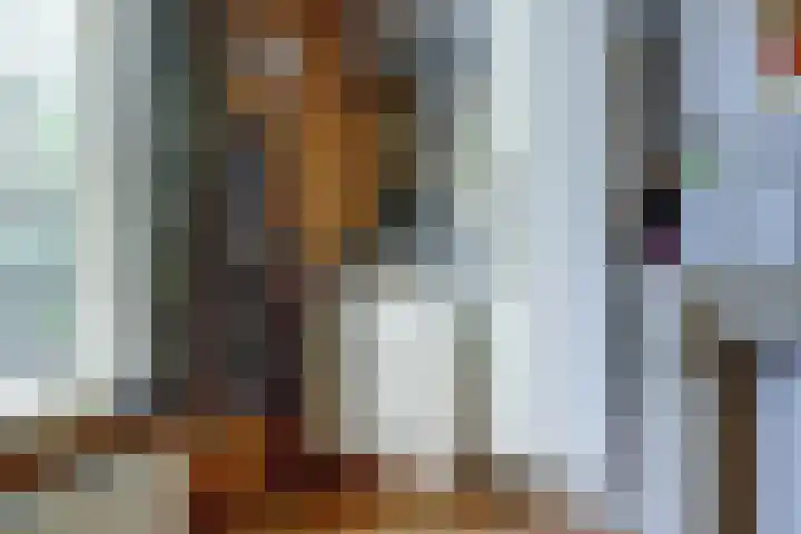 Zuider Parallelweg 5 Velp thumbnail 37
