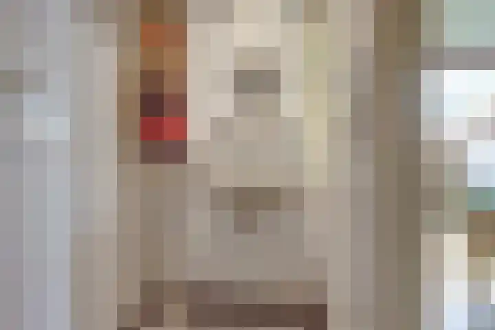 Zuider Parallelweg 5 Velp thumbnail 44
