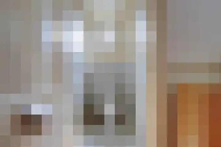 Zuider Parallelweg 5 Velp thumbnail 48
