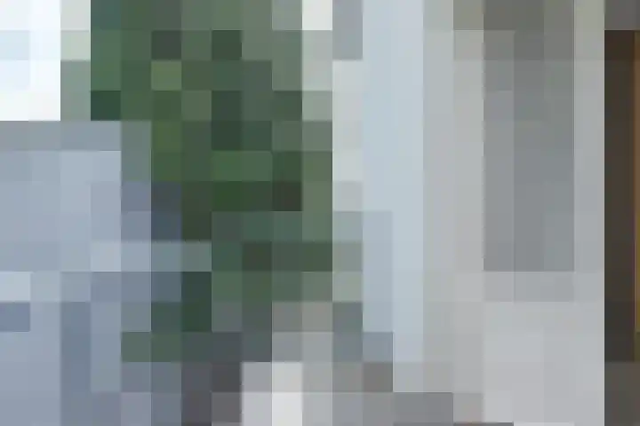 Zuider Parallelweg 5 Velp thumbnail 53